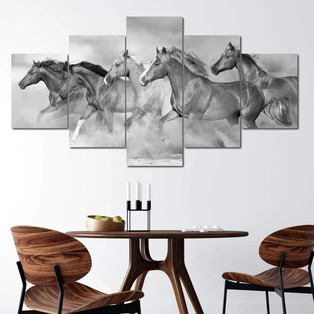 Black & White Horses Herd