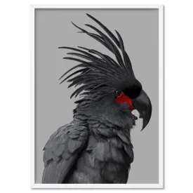 Black Palm Cockatoo - Art Print