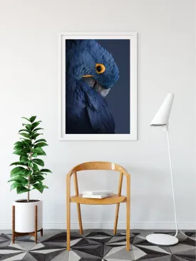 Blue Parrot - Art Print  Stretched Canvas Wall Art