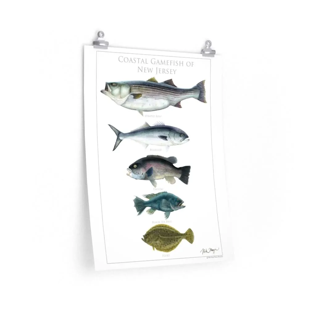 Coastal Gamefish of New Jersey Poster