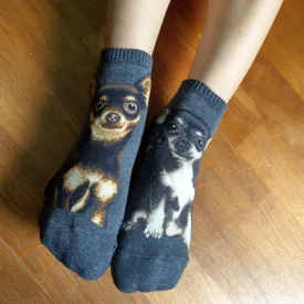 Dogs Ankles - Chihuahua Gray